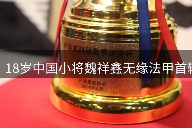 18岁中国小将魏祥鑫无缘法甲首轮 留洋之路任重道远